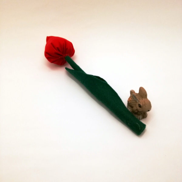 Tulpen – Bild 5